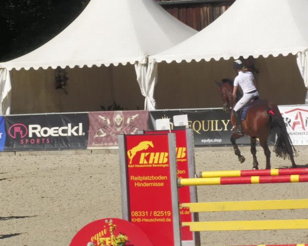 Reitturnier Karlsfeld 2023