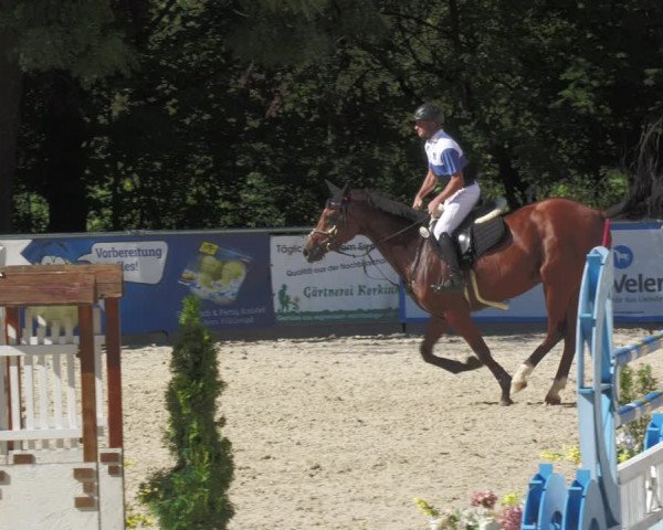 Reitturnier Karlsfeld 2023