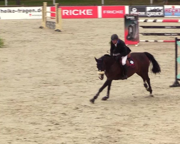 Reitturnier Westergellersen 2023