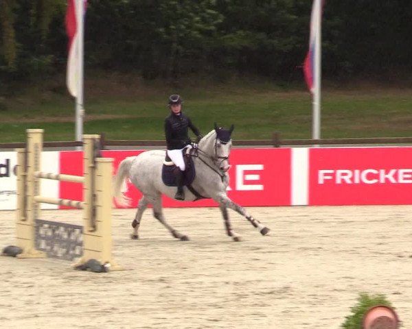 Reitturnier Westergellersen 2023