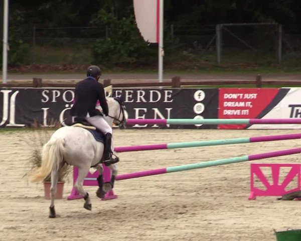 Reitturnier Westergellersen 2023