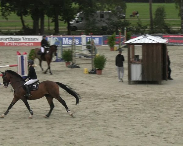 Reitturnier Westergellersen 2023
