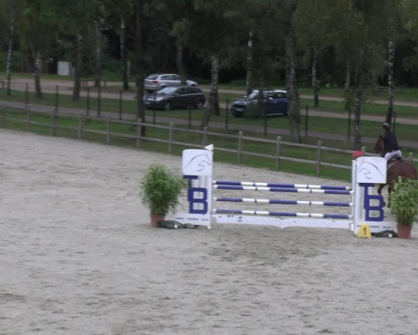 Reitturnier Westergellersen 2023