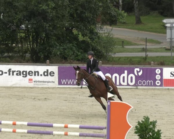 Reitturnier Westergellersen 2023