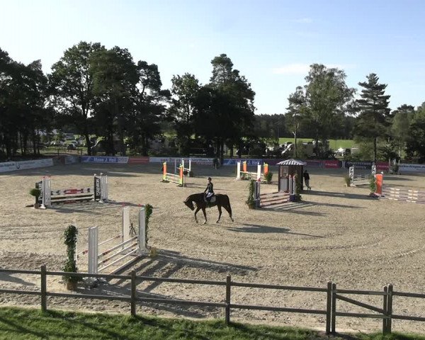 Reitturnier Westergellersen 2023