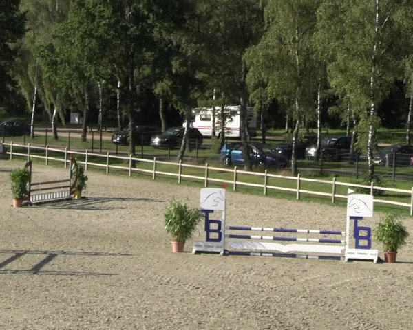 Reitturnier Westergellersen 2023