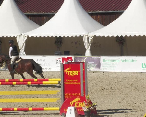 Reitturnier Karlsfeld 2023