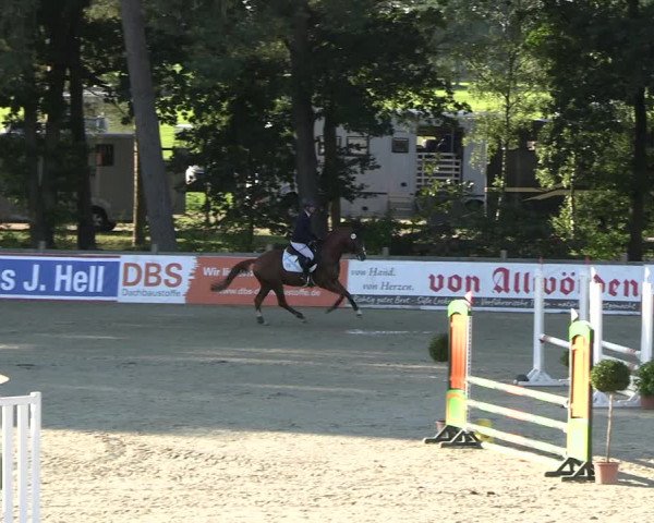 Reitturnier Westergellersen 2023