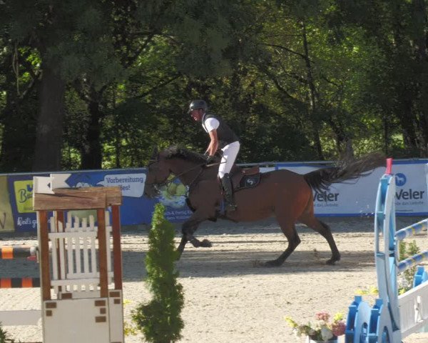 Reitturnier Karlsfeld 2023