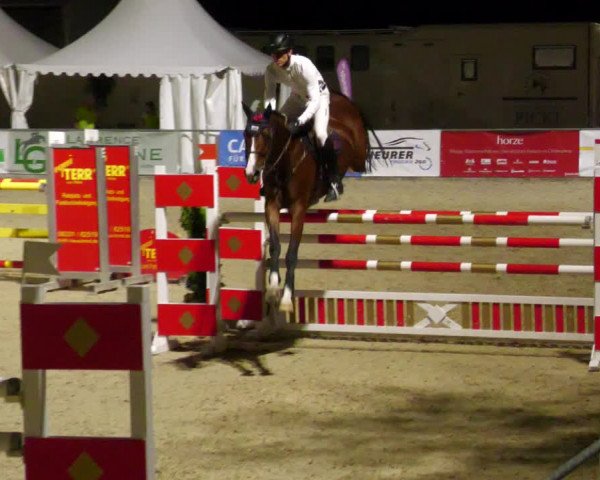 Reitturnier Karlsfeld 2023