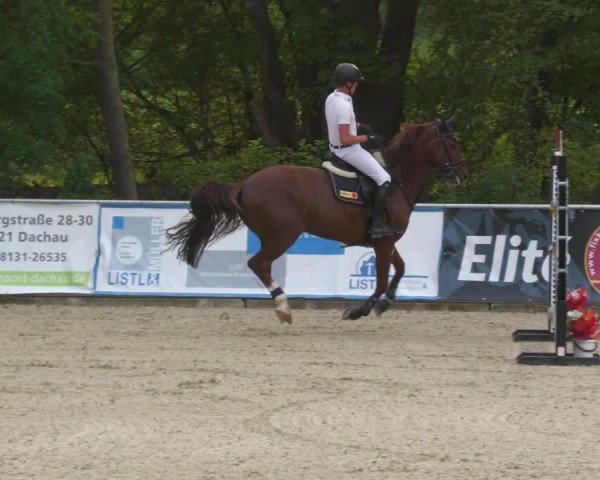 Reitturnier Karlsfeld 2023