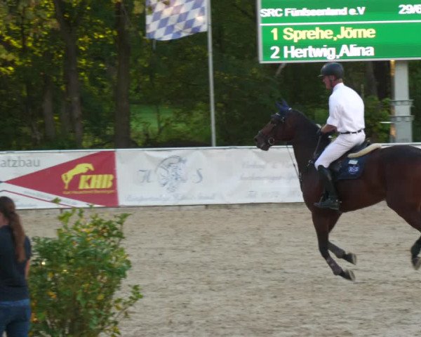 Reitturnier Karlsfeld 2023