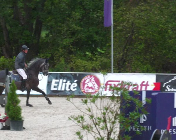 Reitturnier Karlsfeld 2023