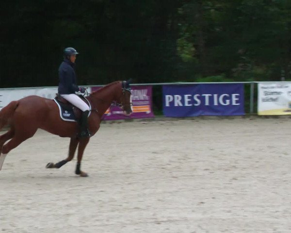 Reitturnier Karlsfeld 2023