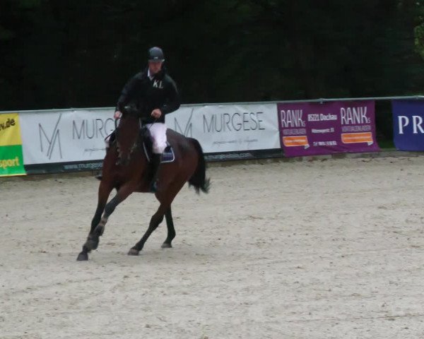 Reitturnier Karlsfeld 2023