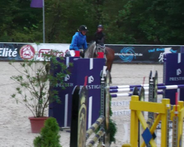 Reitturnier Karlsfeld 2023