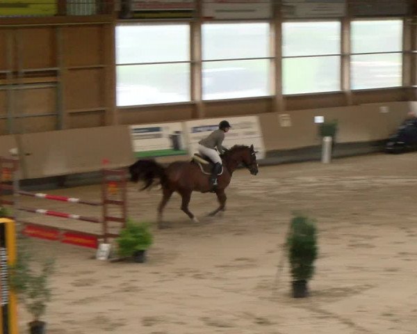Reitturnier Winterthur 2023