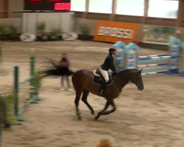 Reitturnier Winterthur 2023