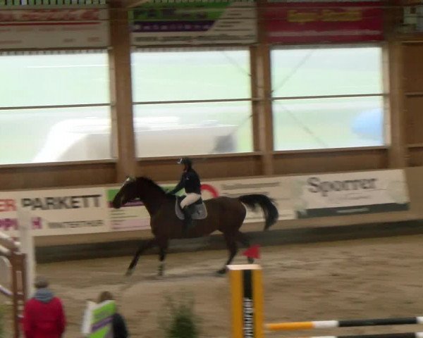 Reitturnier Winterthur 2023