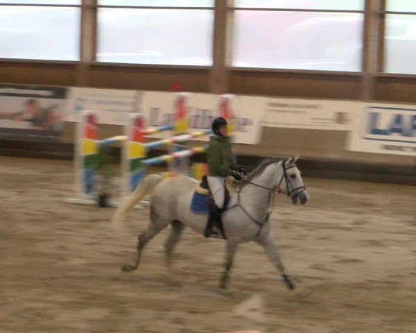 Reitturnier Winterthur 2023
