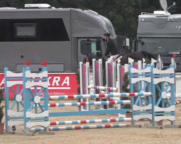 Reitturnier Ranshofen - Braunau am Inn 2023