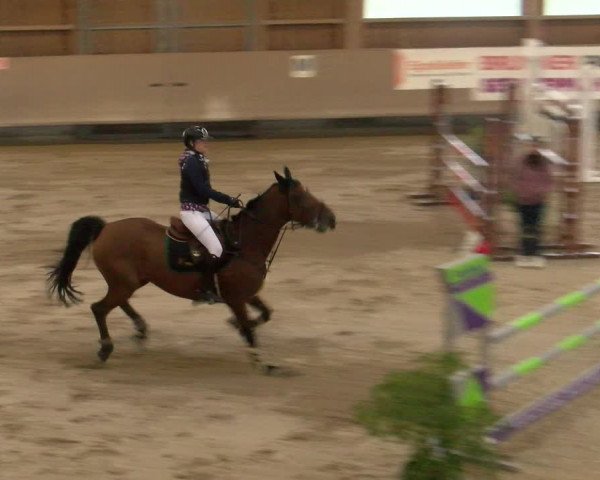 Reitturnier Winterthur 2023