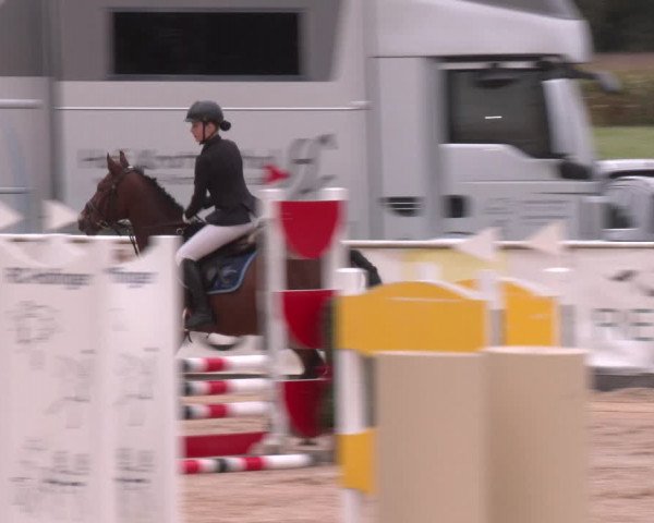 Reitturnier Ranshofen - Braunau am Inn 2023