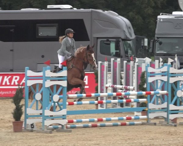 Reitturnier Ranshofen - Braunau am Inn 2023