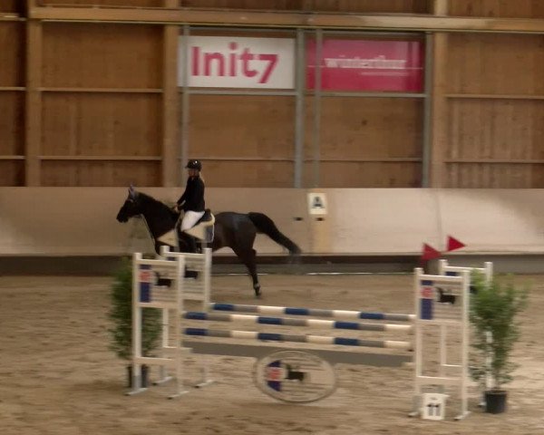 Reitturnier Winterthur 2023