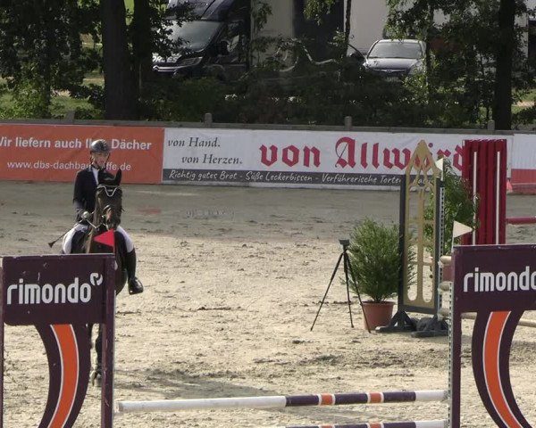 Reitturnier Westergellersen 2023