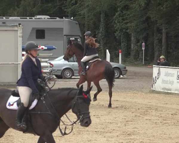 Reitturnier Ranshofen - Braunau am Inn 2023