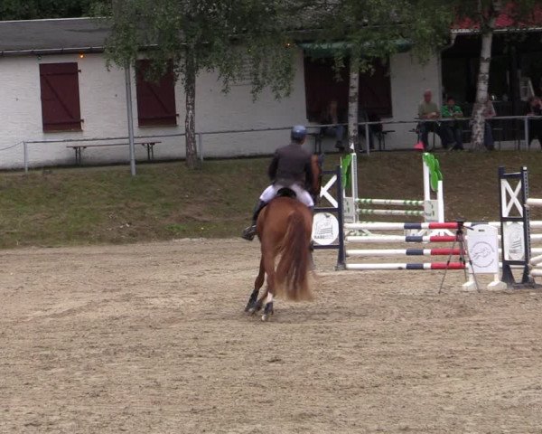 Reitturnier Lgl.-Oberhain, B95 2021