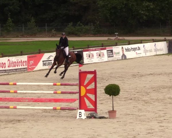 Reitturnier Westergellersen 2023