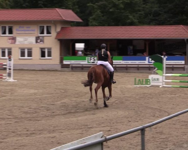 Reitturnier Lgl.-Oberhain, B95 2021