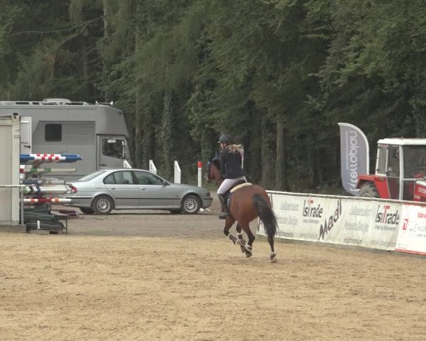 Reitturnier Ranshofen - Braunau am Inn 2023