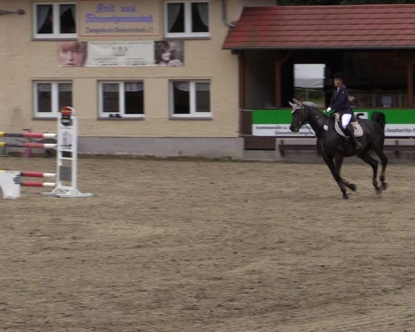 Reitturnier Lgl.-Oberhain, B95 2021
