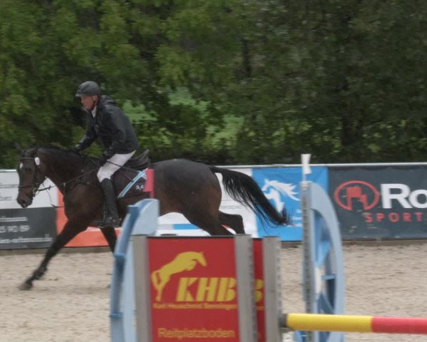Reitturnier Karlsfeld 2023