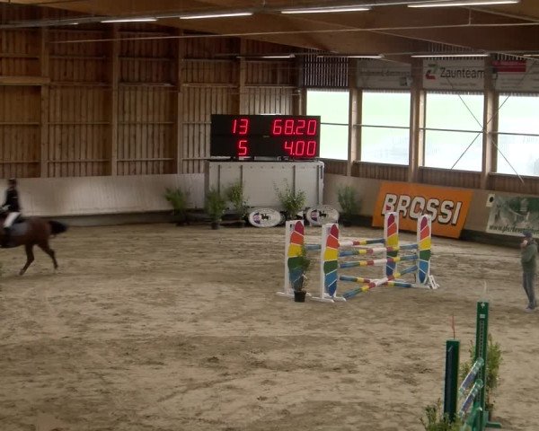 Reitturnier Winterthur 2023