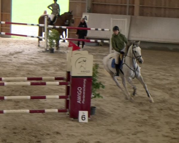 Reitturnier Winterthur 2023