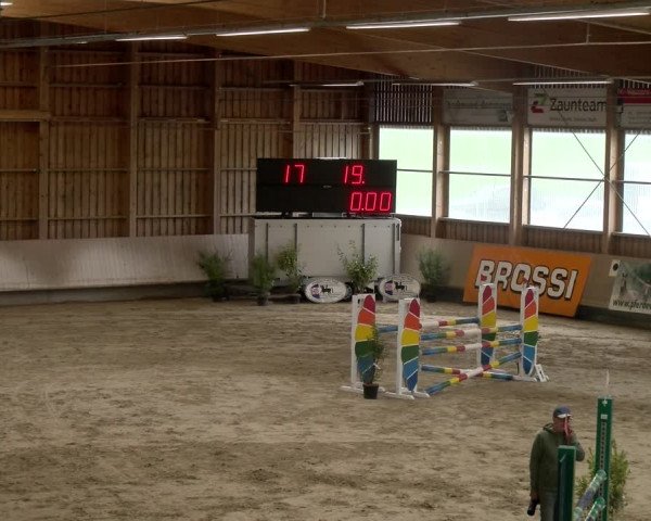 Reitturnier Winterthur 2023