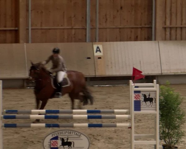 Reitturnier Winterthur 2023