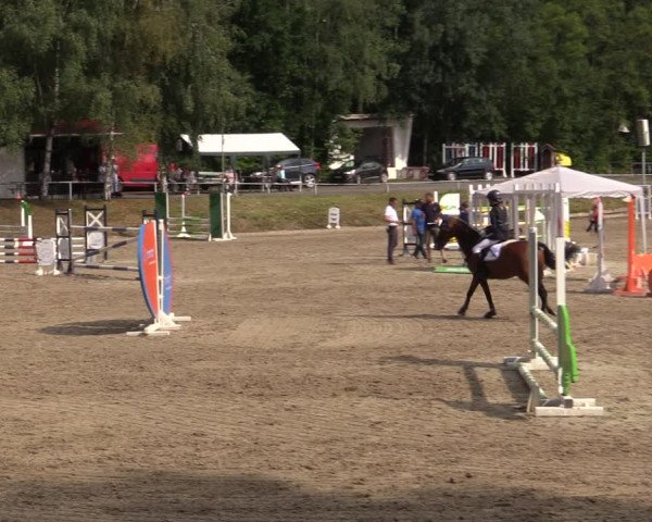 Reitturnier Lgl.-Oberhain, B95 2021