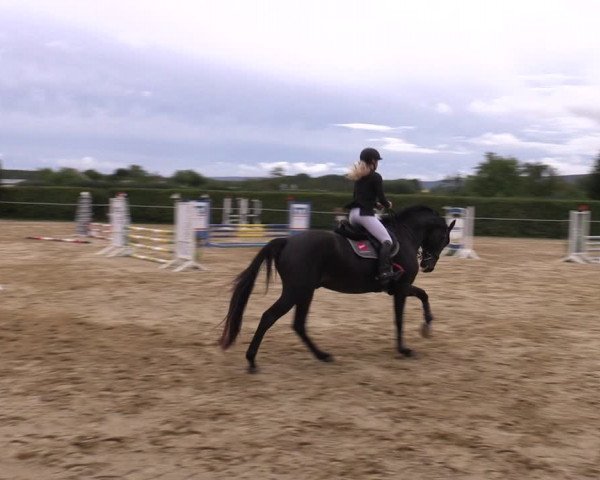 Reitturnier Birkungen 2023
