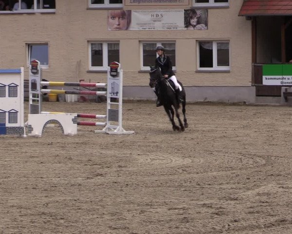 Reitturnier Lgl.-Oberhain, B95 2021