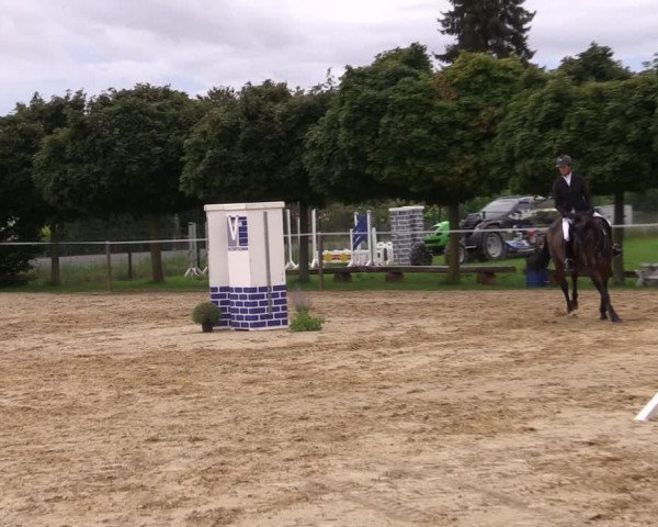 Reitturnier Birkungen 2023