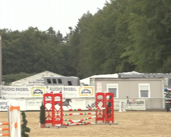 Reitturnier Ranshofen - Braunau am Inn 2023