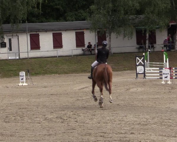 Reitturnier Lgl.-Oberhain, B95 2021