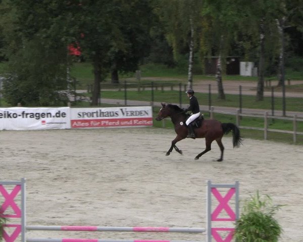 Reitturnier Westergellersen 2023
