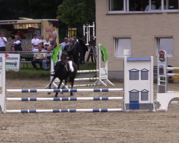 Reitturnier Lgl.-Oberhain, B95 2021