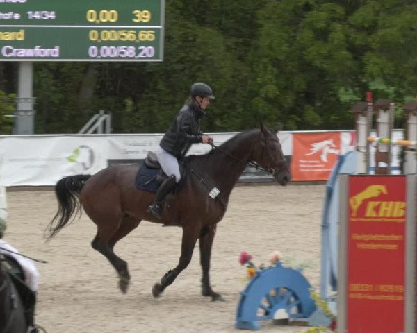 Reitturnier Karlsfeld 2023